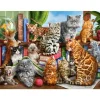 Puzzle 2000 pièces : La maison des chats - Castorland