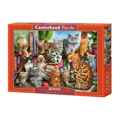Puzzle 2000 pièces : La maison des chats - Castorland