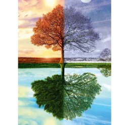 Puzzle 500 pièces : L'arbre des quatre saisons - Schmidt