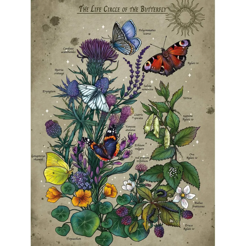 Puzzle 1000 pièces : Le cercle de vie du papillon - Ravensburger