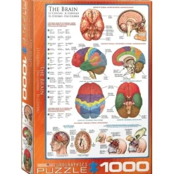 Puzzle 1000 pièces : Le cerveau - Eurographics