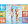 Puzzle 200 pièces : Le corps humain - Eurographics