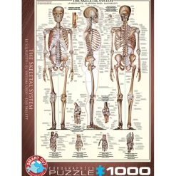 Puzzle 1000 pièces : Le squelette - Eurographics