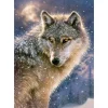 Puzzle 500 pièces : Loup solitaire - Castorland