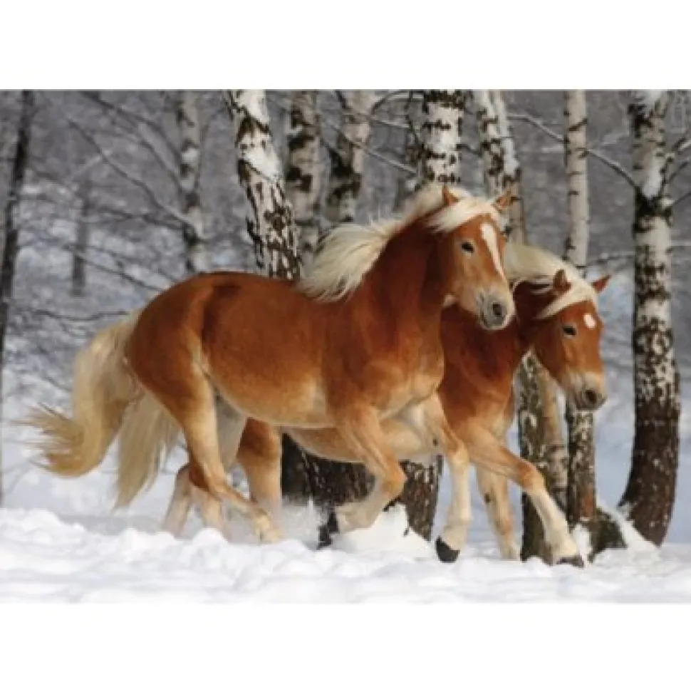 Puzzle 239 pièces - Magie des chevaux : Cheval Haflinger III - DToys