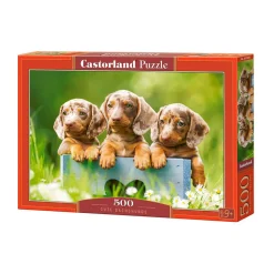 Puzzle 500 pièces : Mignons teckels - Castorland