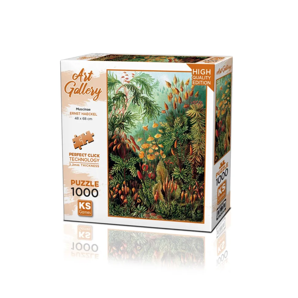 Puzzle 1000 pièces : Muscinés - Ks Games