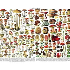 Puzzle 1000 pièces : Mushrooms Champignons - New York Puzzle Company