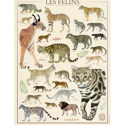 Puzzle 500 pièces : Muséum national d'Histoire naturelle : Les félins - Nathan