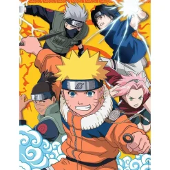 Puzzle 250 pièces : Naruto à l'académie des ninjas - Nathan