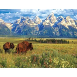 Puzzle 1000 pièces : Parc National de Grand Teton - Eurographics