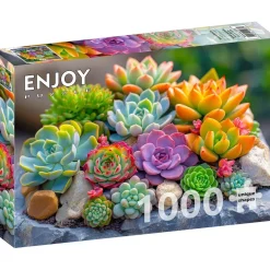 Puzzle 1000 pièces : Plantes succulentes - EnjoyPuzzle