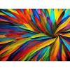 Puzzle 1000 Pièces : Plumes colorées - EnjoyPuzzle