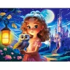Puzzle 70 pièces : Princesse avec hibou - Castorland