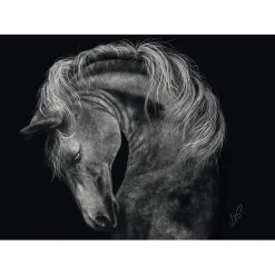 Puzzle 1000 pièces : Puissant – le cheval : sous le signe de la force - Ashley Rader - Schmidt