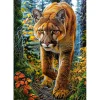 Puzzle 1500 pièces : Puma dans la forêt - Castorland