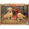 Puzzle 1000 pièces : Quelque chose de vieux, quelque chose de nouveau - Eurographics