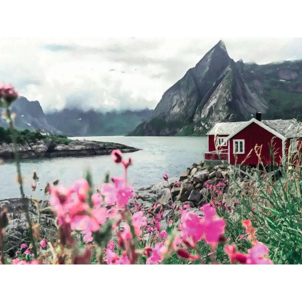 Puzzle 1000 pièces : Reine, Lofoten, Norvège - Ravensburger