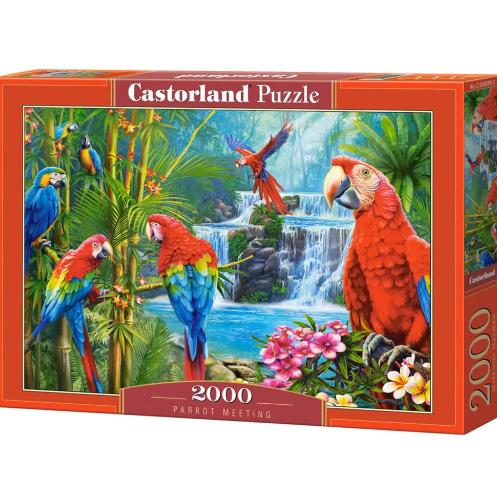 Puzzle 2000 pièces : Rencontre de perroquets - Castorland