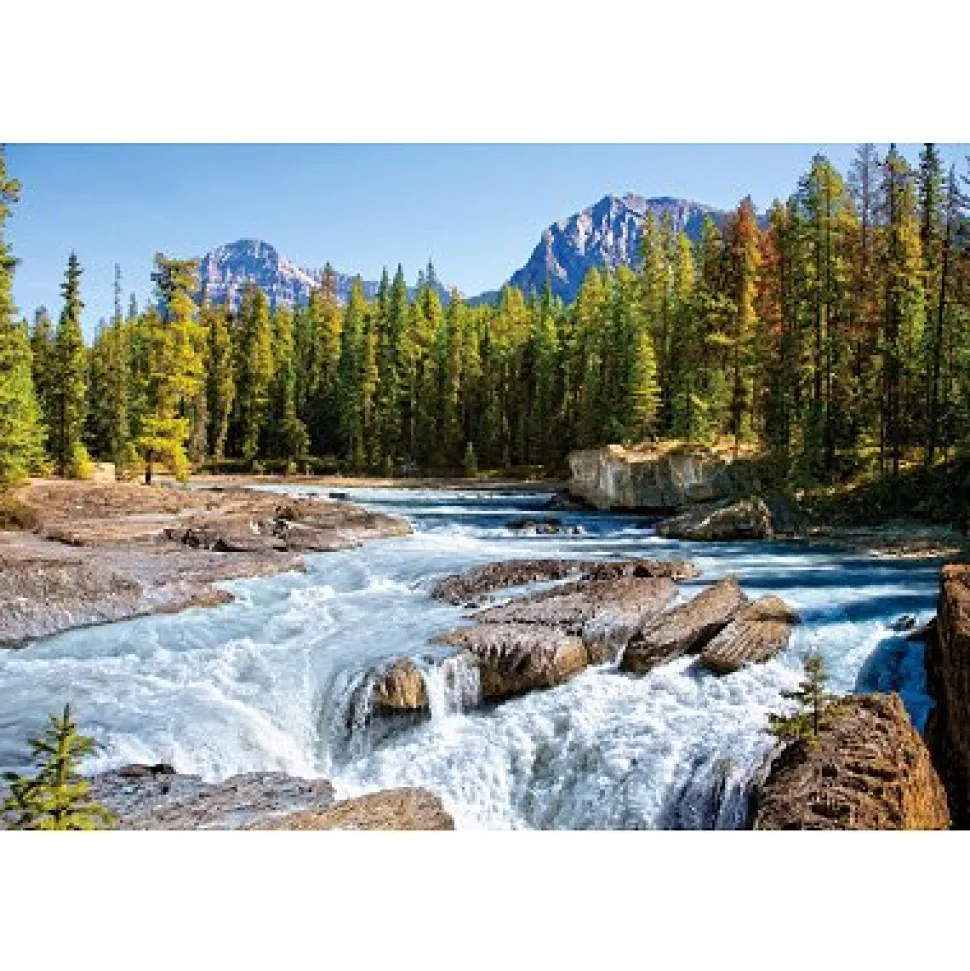 Puzzle 1500 pièces - Rivière Athabasca, parc national de Jasper : Canada - Castorland