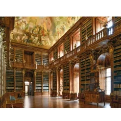 Puzzle 1000 pièces : Salle philosophique - Dino