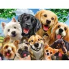 Puzzle 500 pièces : Selfie de chiens - Schmidt