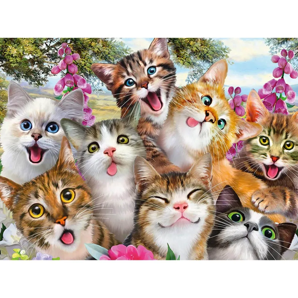 Puzzle 500 pièces : Selfie de chats - Schmidt