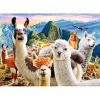 Puzzle 1000 pièces : Selfie de Lamas - Castorland