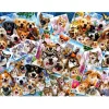 Puzzle 2000 pièces : Selfie Pet - Anatolian