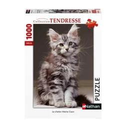 Puzzle 1000 pièces : Tendresse - Le chaton Maine Coon - Nathan