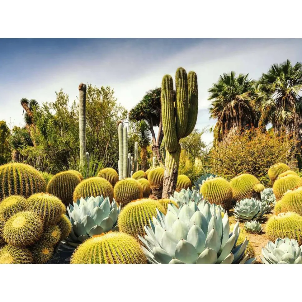 Puzzle 1000 pièces - The Huntington Desert Garden, Californie, USA - Ravensburger