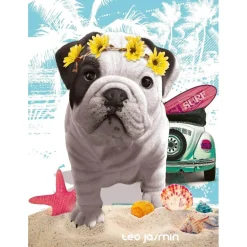 Puzzle 500 pièces : Téo California, Téo Jasmin - Nathan