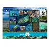 Puzzle 1000 pièces : Tortues De Mer - WWF
