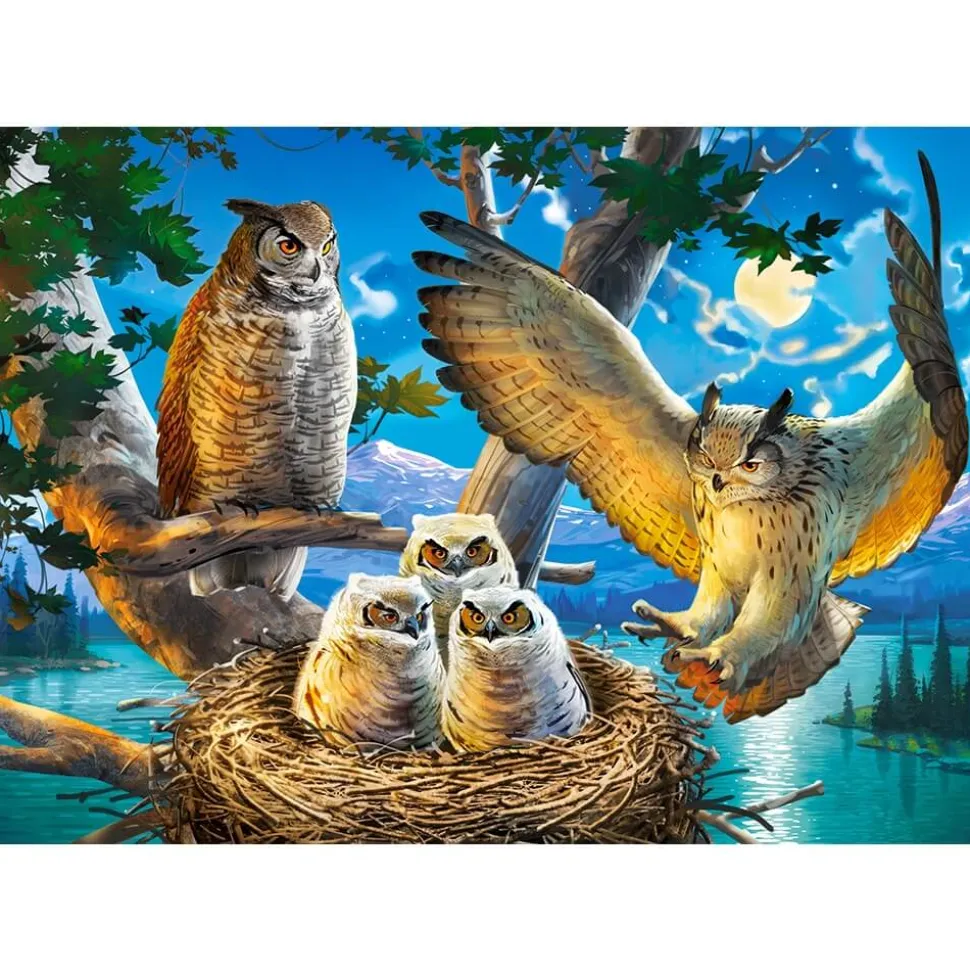 Puzzle 500 pièces : Une famille de chouettes - Castorland