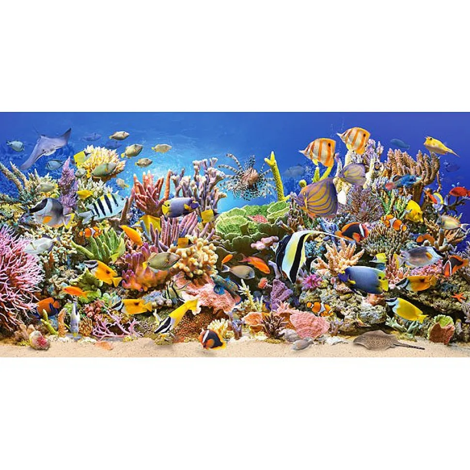 Puzzle 4000 pièces : Vie sous-marine - Castorland