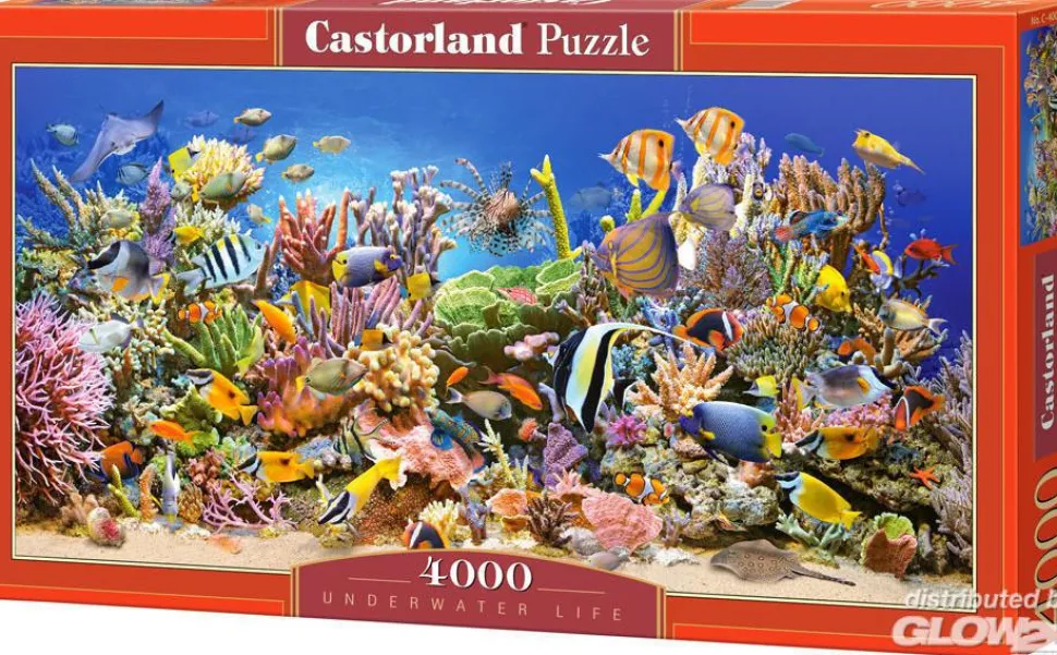 Puzzle 4000 pièces : Vie sous-marine - Castorland