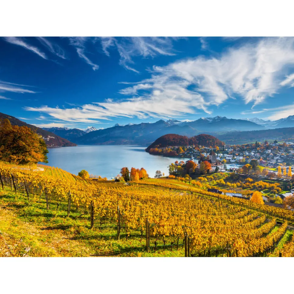 Puzzle 2000 pièces : Vignobles - Schmidt