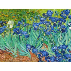 Puzzle 1000 pièces : Vincent Van Gogh : Les Iris - EnjoyPuzzle
