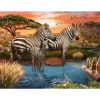 Puzzle 500 pièces : Zèbres au plan d'eau - Ravensburger