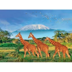 Puzzle 500 pièces XL : Girafes au pied du Kilimandjaro - Sentosphère