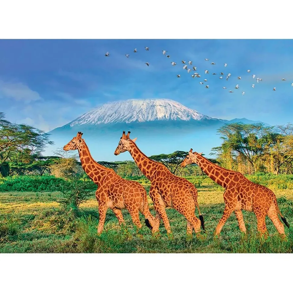 Puzzle 500 pièces XL : Girafes au pied du Kilimandjaro - Sentosphère