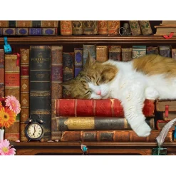 Puzzle 500 pièces XL : La sieste du chat - Eurographics