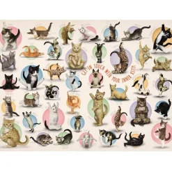 Puzzle 500 pièces XL : Le yoga des chatons - Eurographics