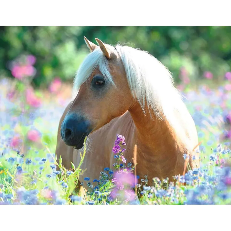 Puzzle 300 pièces XXL : Cheval dans la prairie - Ravensburger