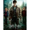 Puzzle 300 pièces XXL : Harry Potter et les Reliques de la Mort II - Ravensburger