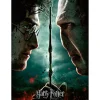 Puzzle 200 pièces XXL - Harry Potter vs Voldemort - Ravensburger
