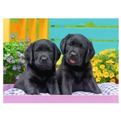 Puzzle 300 pièces XXL : Labradors - Ravensburger