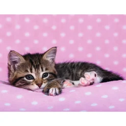 Puzzle 200 pièces XXL : L'heure de la sieste - Ravensburger