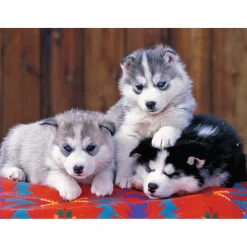 Puzzle 200 pièces XXL : Mignons huskies - Ravensburger