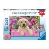 Puzzle 2 x 24 pièces : amis tout doux - Ravensburger